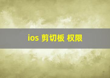 ios 剪切板 权限